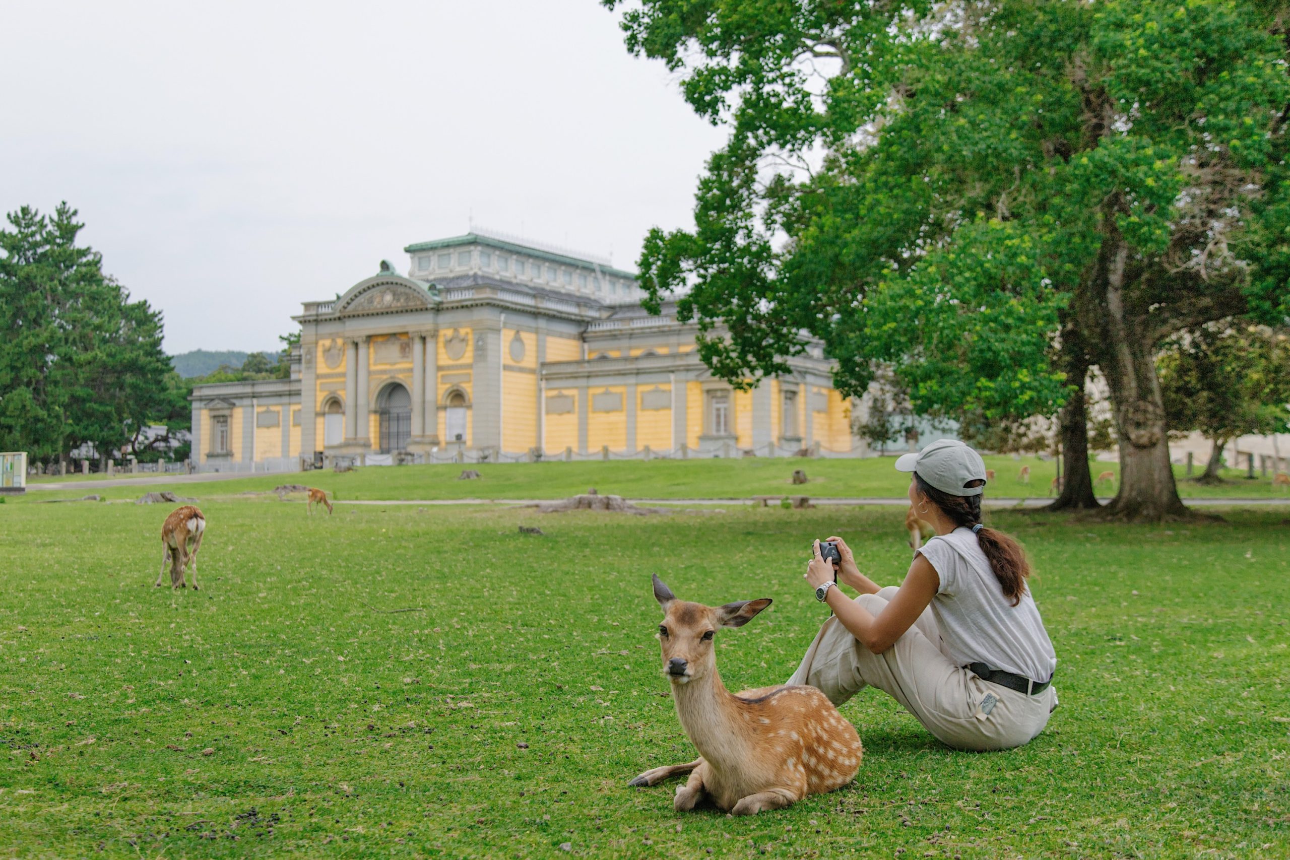 TOUR NHẬT BẢN HÈ 2026 HÀ NỘI - NARA - OSAKA - KYOTO - TOKYO - Ảnh 30