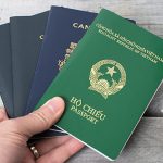 Tổng hợp 3 cách tra cứu hộ chiếu online nhanh và đơn giản