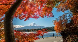 Ngắm lá đỏ mùa thu ở Nhật Bản năm 2024