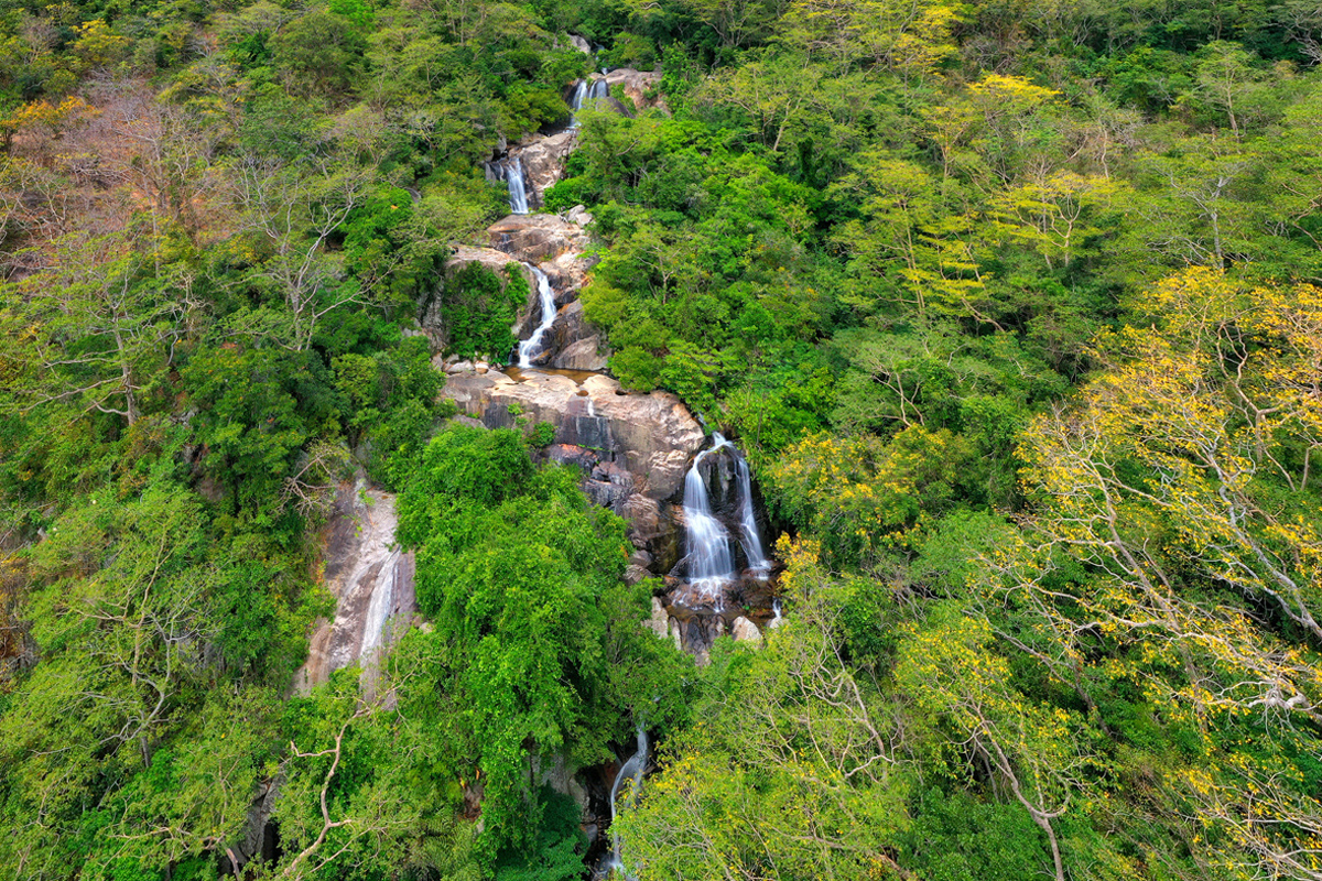 Vườn quốc gia núi chúa - Ninh Thuận