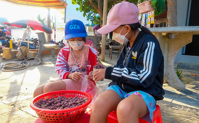 Đến Cát Tiến mùa này, du khách có thể thưởng thức trái tra - một loại trái cây đặc trưng miền biển. Ảnh: Đoan Ngọc