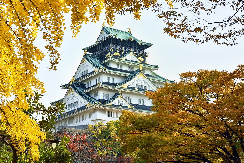 TOUR MÙA THU NHẬT BẢN 2026: NARA - OSAKA - KYOTO - TOKYO - Ảnh 25
