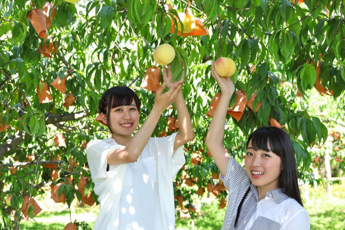 TOUR MÙA THU NHẬT BẢN 2026: NARA - OSAKA - KYOTO - TOKYO - Ảnh 7