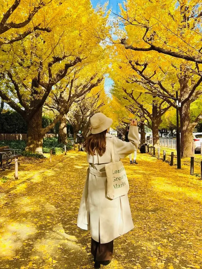 TOUR MÙA THU NHẬT BẢN 2026: NARA - OSAKA - KYOTO - TOKYO - Ảnh 13