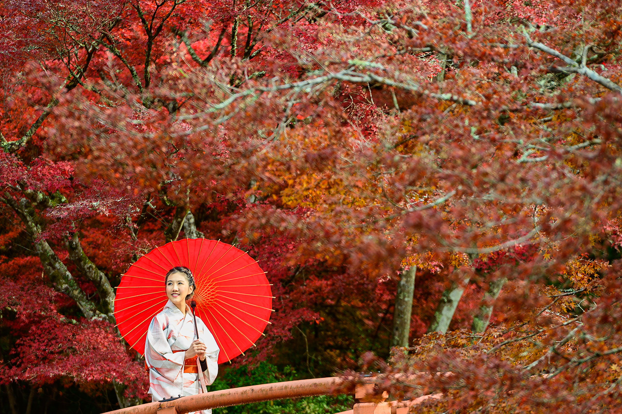 TOUR MÙA THU NHẬT BẢN 2026: NARA - OSAKA - KYOTO - TOKYO - Ảnh 3