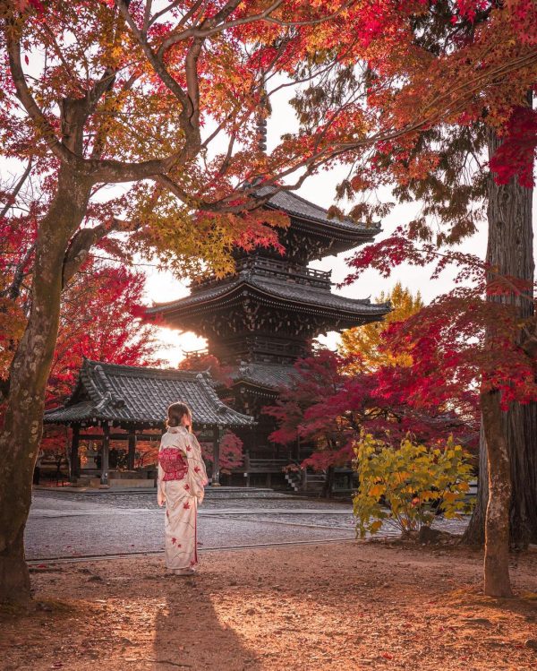 TOUR MÙA THU NHẬT BẢN 2024: KOBE – OSAKA – KYOTO – YAMANASHI – FUJI – TOKYO