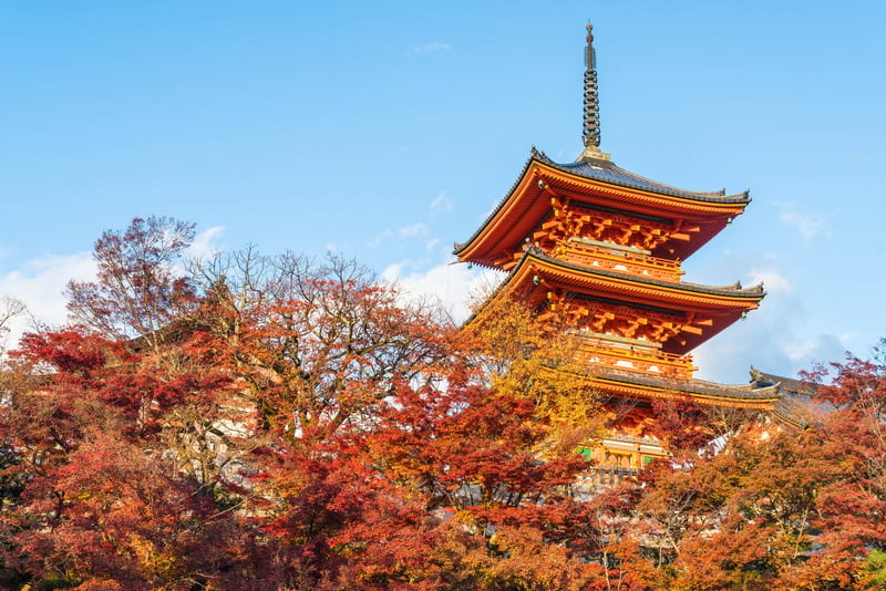 TOUR MÙA THU NHẬT BẢN 2026: NARA - OSAKA - KYOTO - TOKYO - Ảnh 8