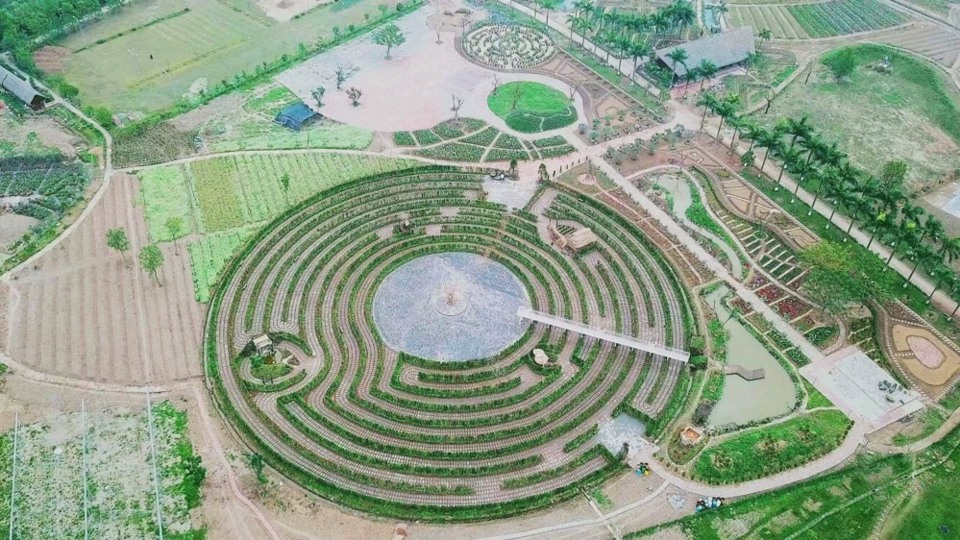 Mê cung hoa Thạch Bàn tại Rose Park