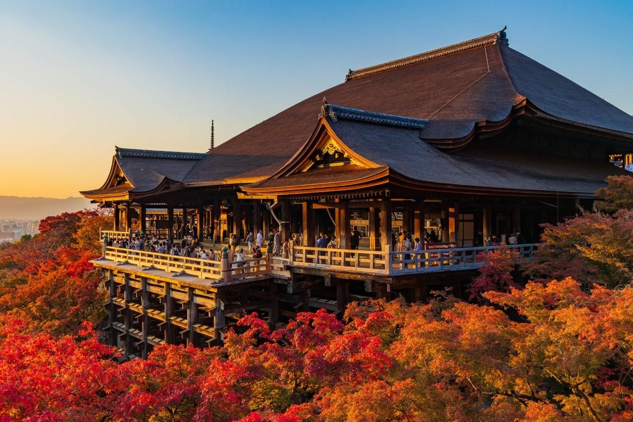 TOUR MÙA THU NHẬT BẢN 2026: NARA - OSAKA - KYOTO - TOKYO - Ảnh 24