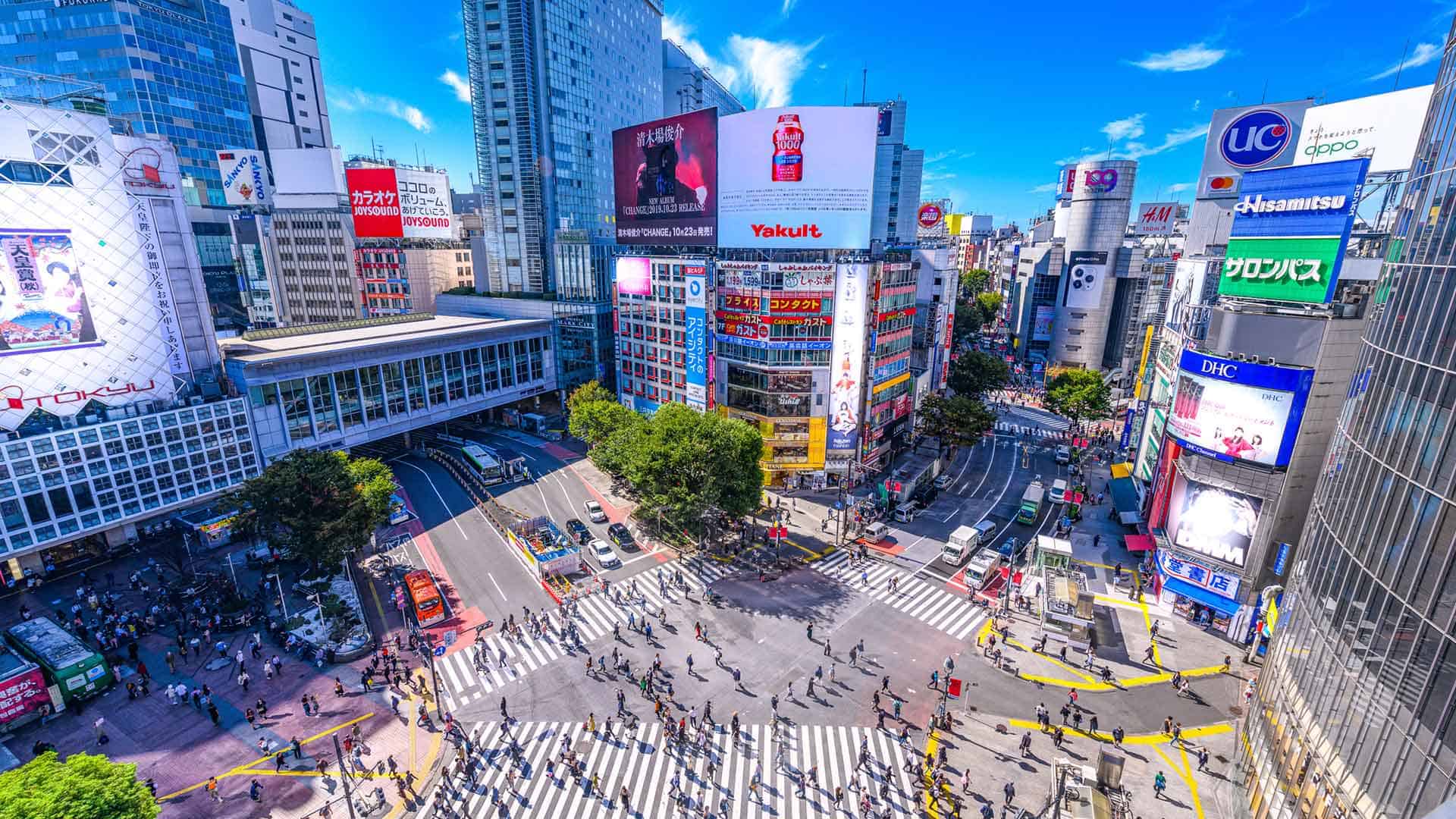 TOUR MÙA THU NHẬT BẢN 2026: NARA - OSAKA - KYOTO - TOKYO - Ảnh 14