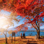 TOUR MÙA THU NHẬT BẢN 2026: NARA – OSAKA – KYOTO – TOKYO
