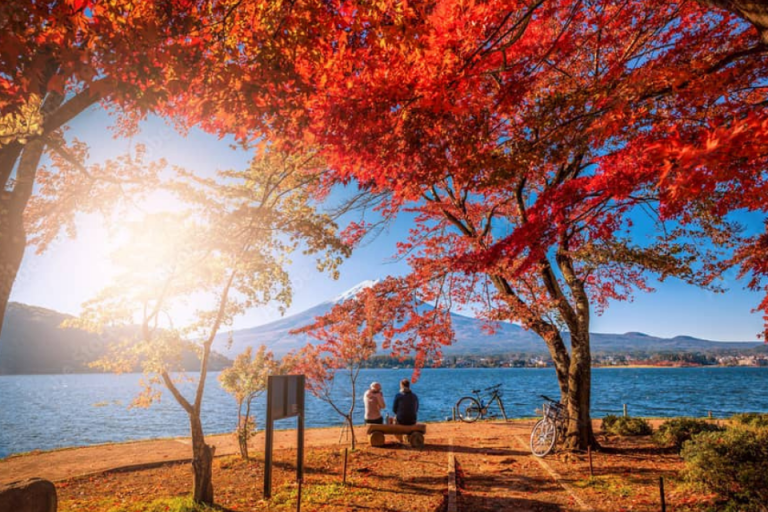 TOUR MÙA THU NHẬT BẢN 2026: NARA - OSAKA - KYOTO - TOKYO