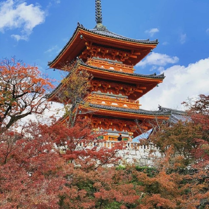 TOUR MÙA THU NHẬT BẢN 2026: NARA - OSAKA - KYOTO - TOKYO - Ảnh 18