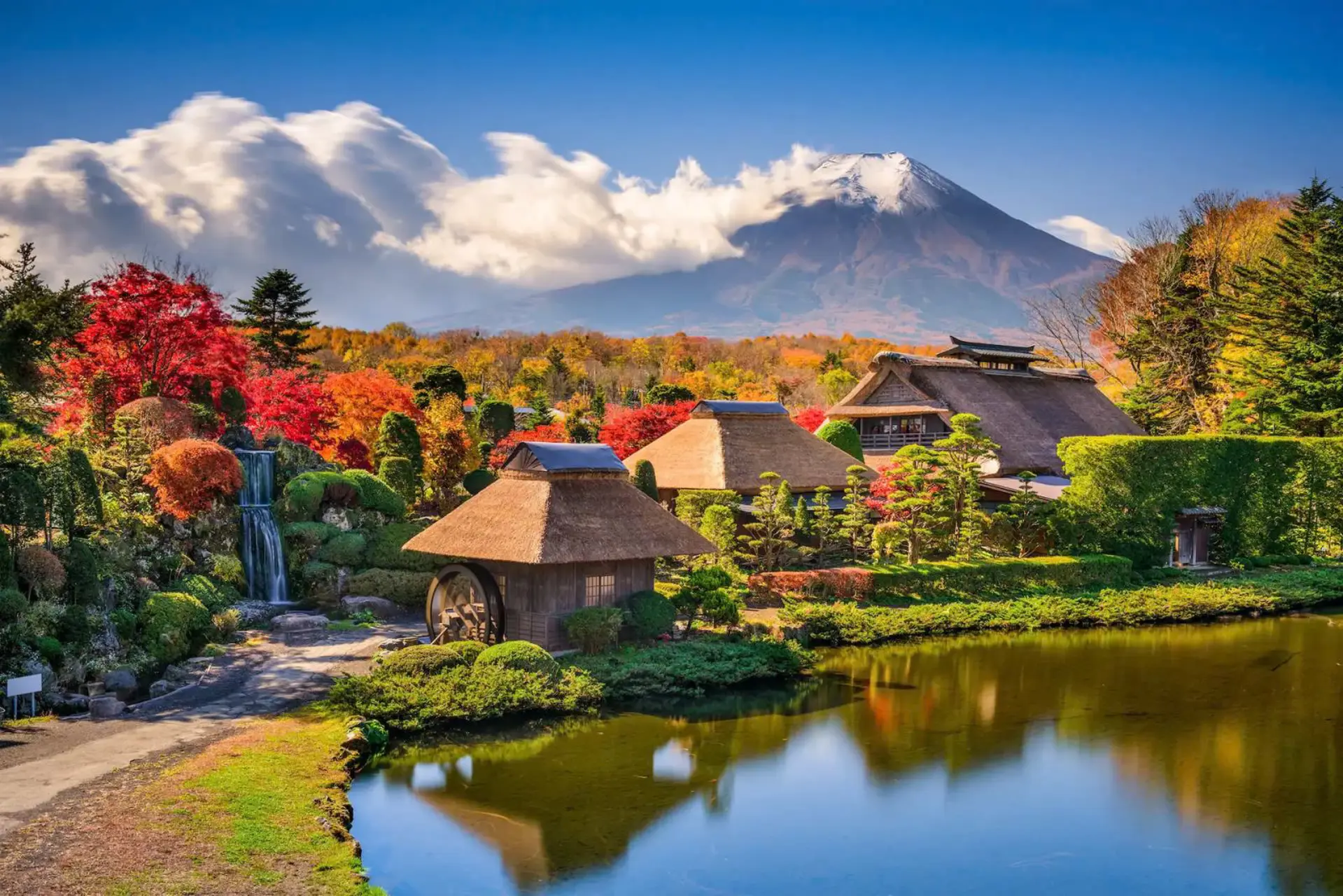 TOUR MÙA THU NHẬT BẢN 2026: NARA - OSAKA - KYOTO - TOKYO - Ảnh 23