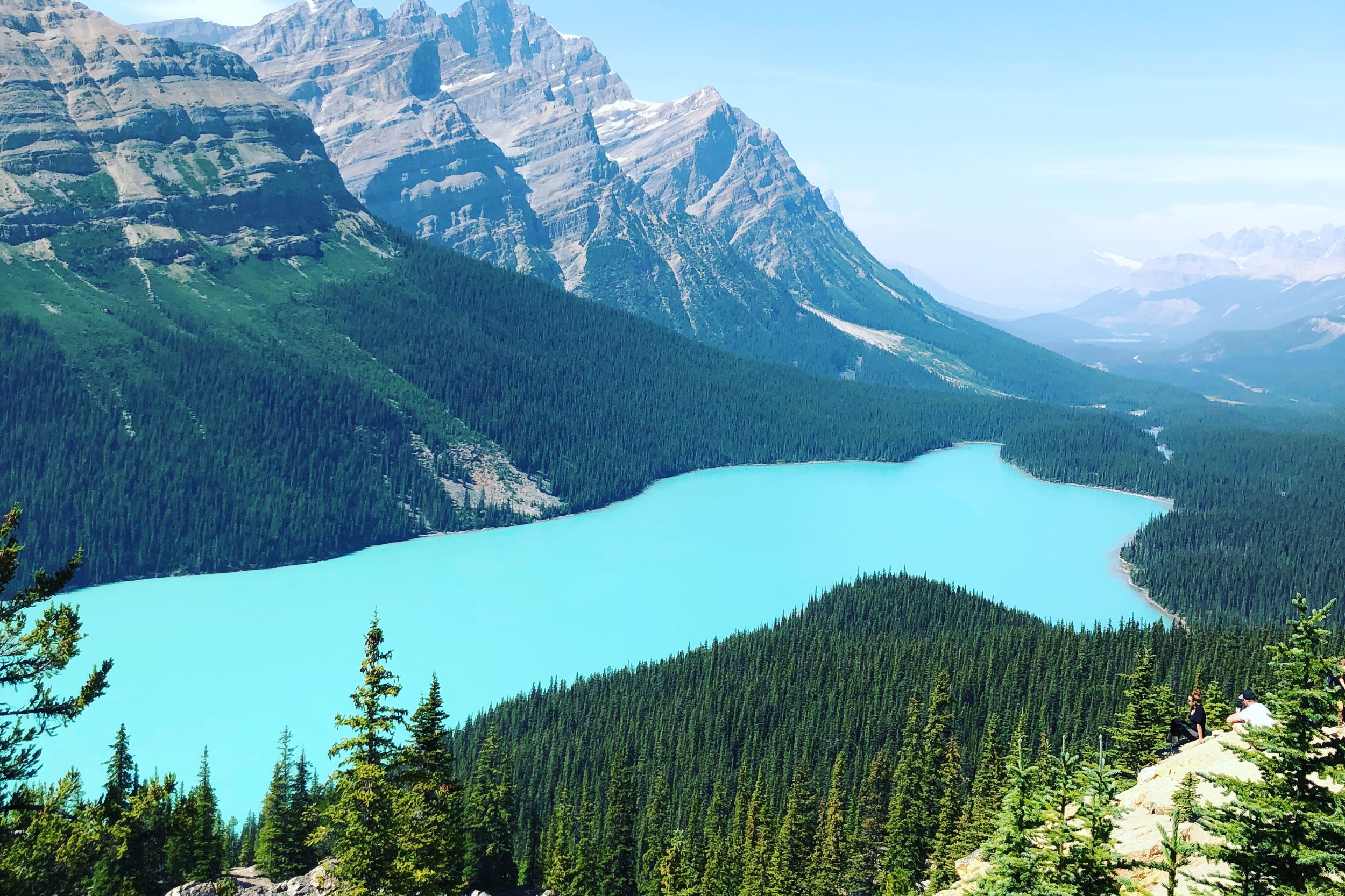 Hồ Peyto – Banff National Park, Alberta Canada