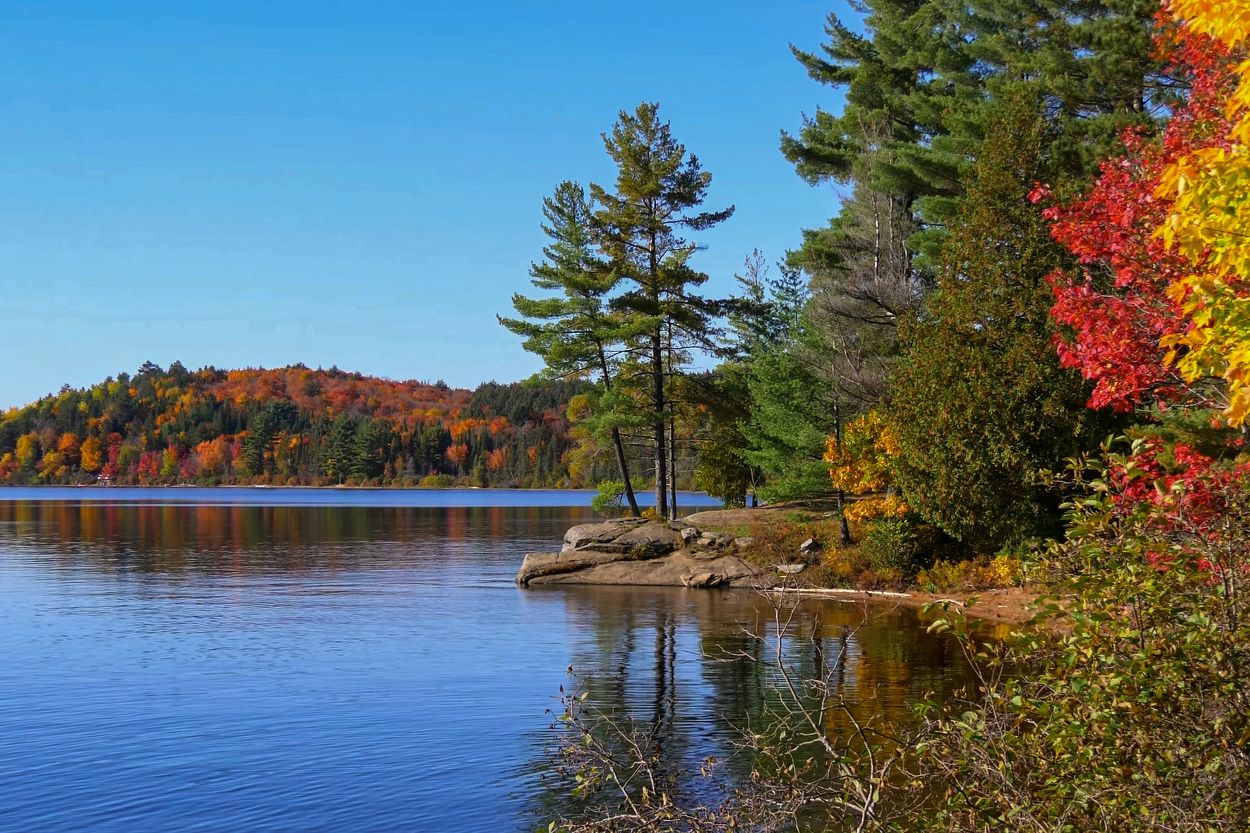 Hồ Algonquin – Algonquin Provincial Park, Ontario