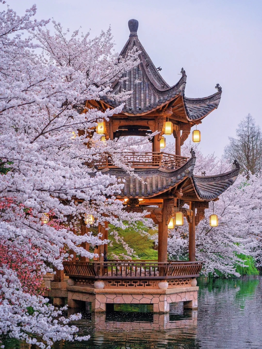 THƯỢNG HẢI – HÀNG CHÂU – Ô TRẤN No Shopping (5N4Đ) - Ảnh 13