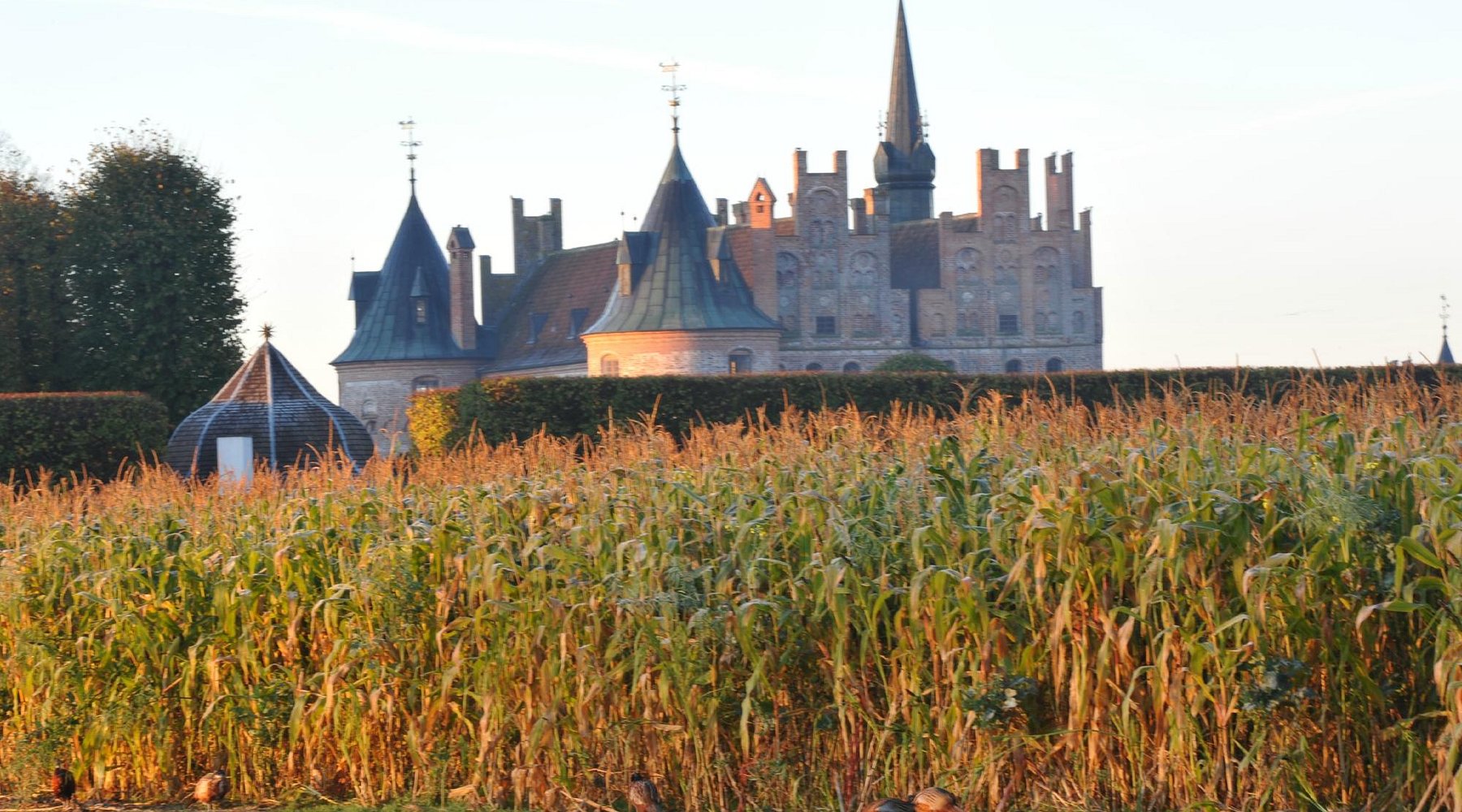 Odense – Quê hương của những câu chuyện cổ tích bất hủ (cập nhập 2025 )