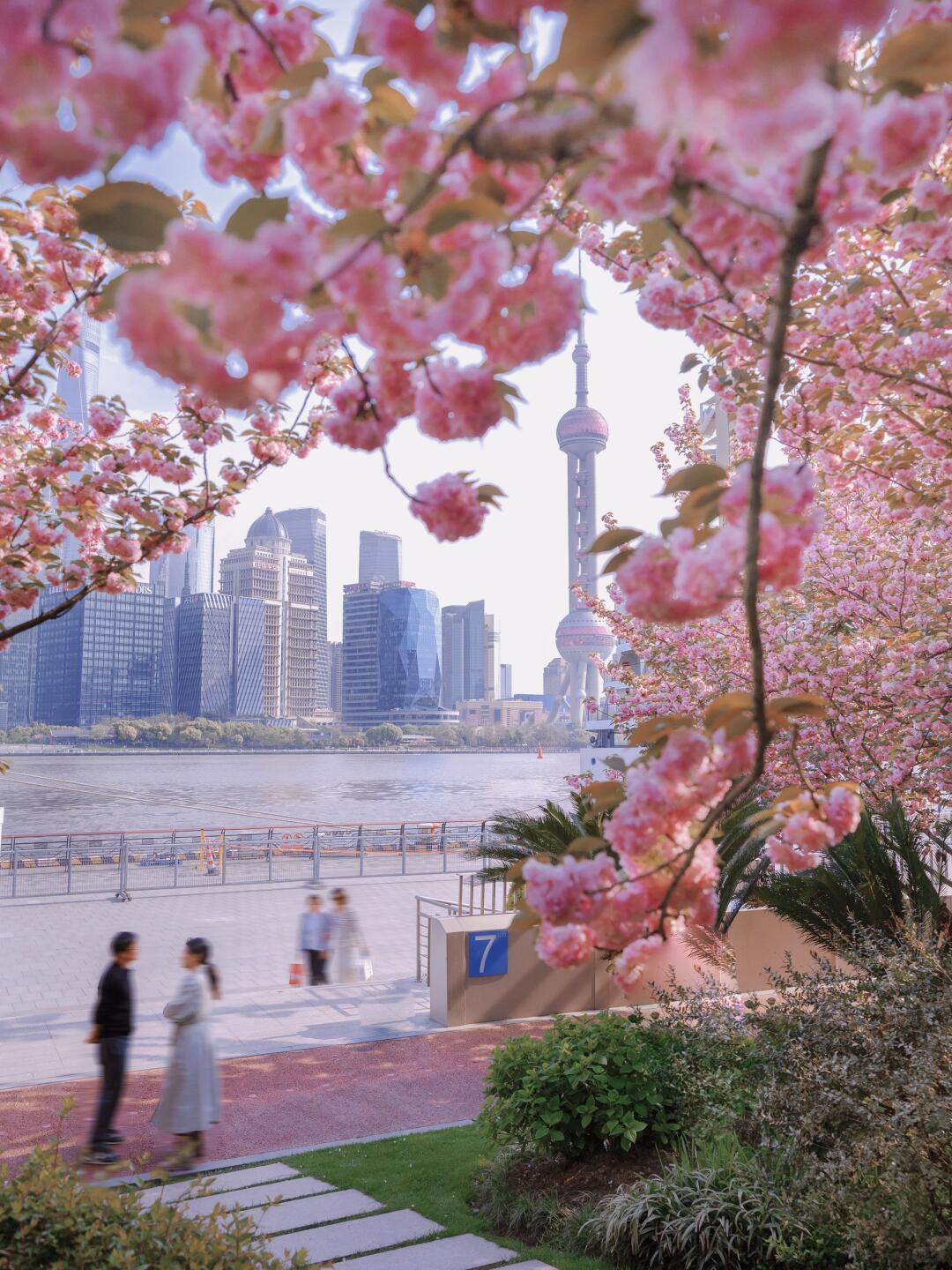 THƯỢNG HẢI – HÀNG CHÂU – Ô TRẤN No Shopping (5N4Đ) - Ảnh 10