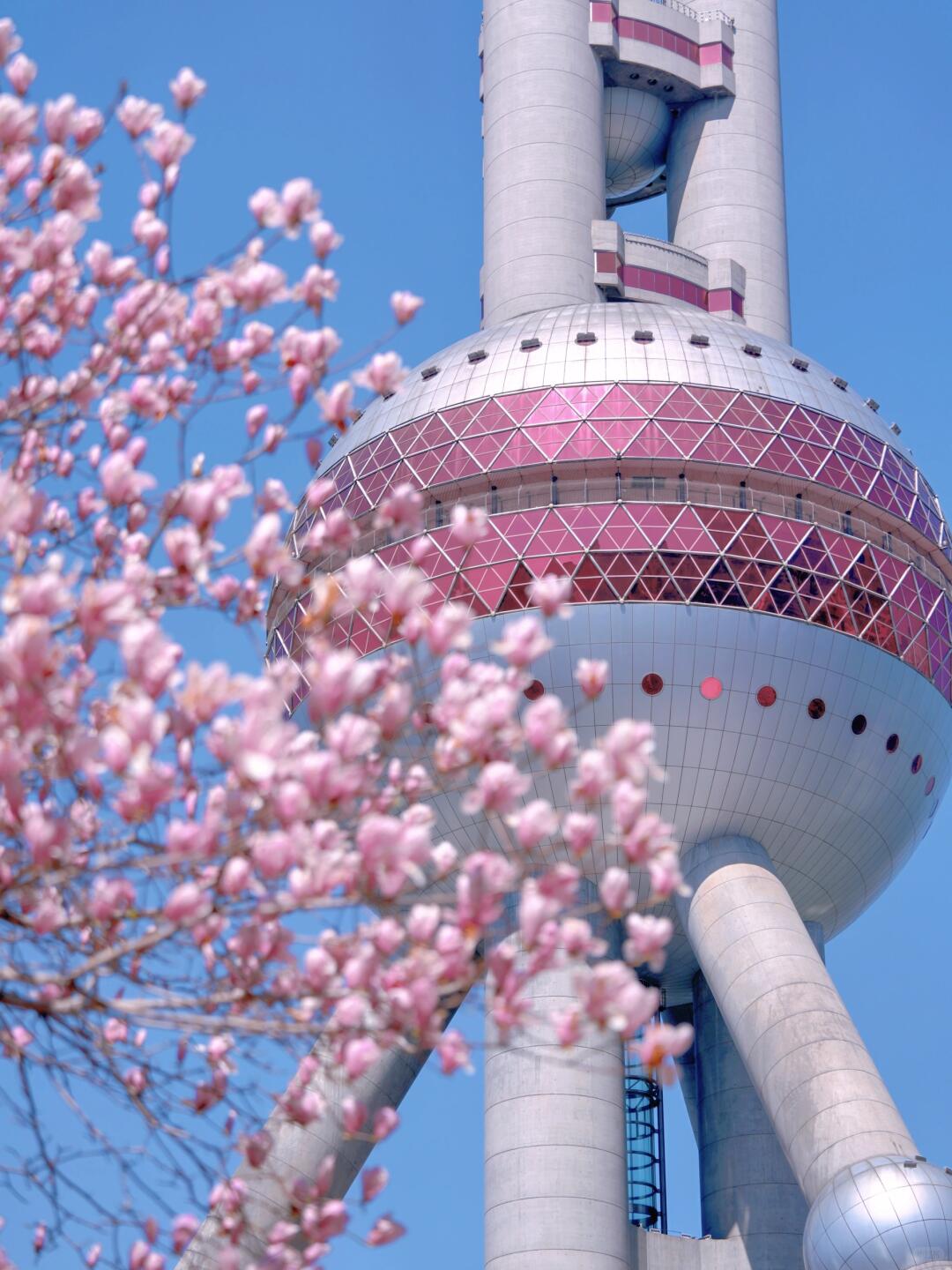 THƯỢNG HẢI – HÀNG CHÂU – Ô TRẤN No Shopping (5N4Đ) - Ảnh 11