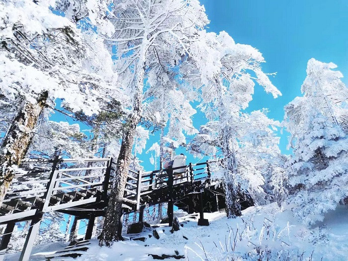 Giấc mộng tuyết trắng mang tên Núi tuyết Kiệu Tử 2025