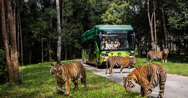 TOUR HÈ 2026 HÀ NỘI - ĐẢO NGỌC PHÚ QUỐC 4N3Đ - Ảnh 15
