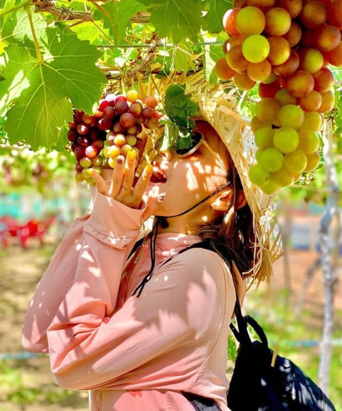 TOUR HÈ 2026 HÀ NỘI - NHA TRANG - NINH THUẬN 4N3Đ - Ảnh 3