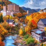 Mùa Thu Hokkaido – Nơi Mùa Lá Đỏ Bắt Đầu Sớm Nhất Nhật Bản