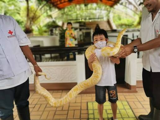 Tour Đà Nẵng - Bangkok - Pattaya (5N4Đ) - Ảnh 14