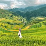 Gợi ý săn mùa lúa chín miền núi phía Bắc